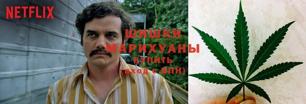 эйфоретик Богородицк