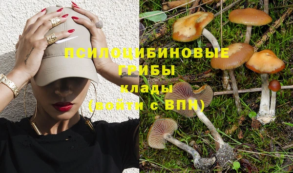 эйфоретик Богородицк