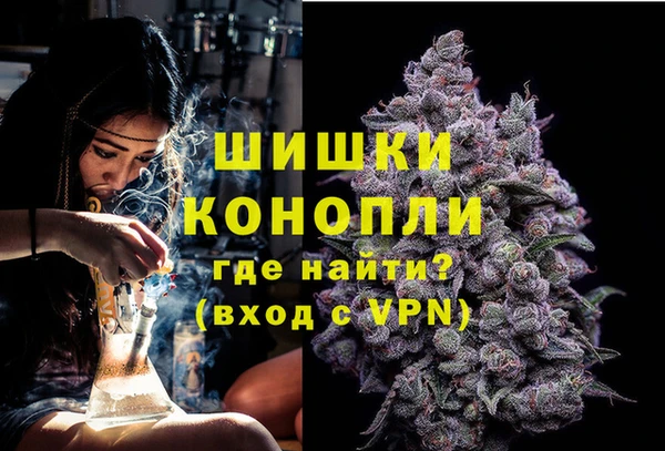 дмт Богородск