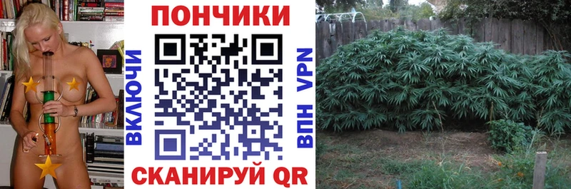 Шишки марихуана VHQ  Тамбов 